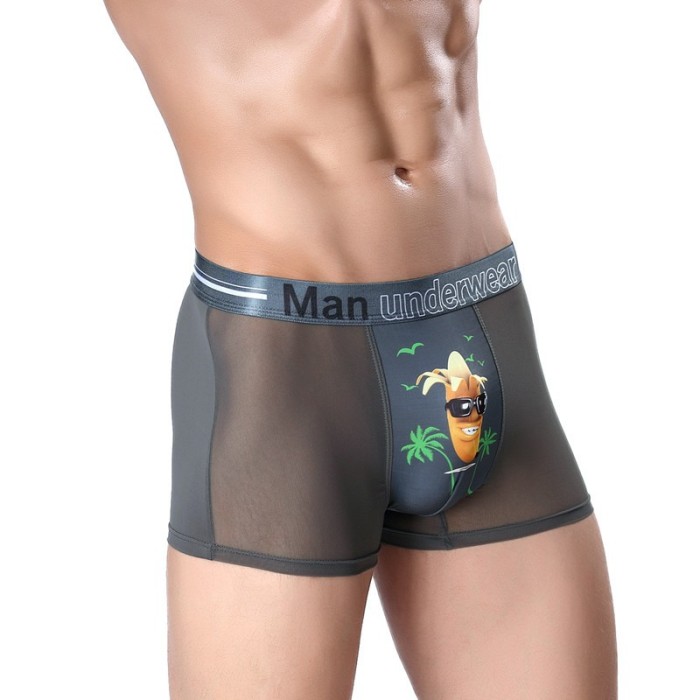 Men's Ice Silk Sexy breathable Printed Boxer