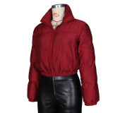 Winter Warm Zip High Neck Short Padded Jacket