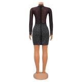 Sexy Mesh Long Sleeve Sequin Dress