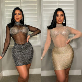 Sexy Mesh Long Sleeve Sequin Dress