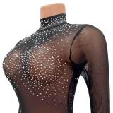 Sexy Mesh Long Sleeve Sequin Dress