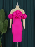 Three Dimensional Rose Bubble Sleeve One Shoulder Evening Dress