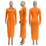 Fall/Winter Ruched Solid Color Long Sleeve Sim Fitted Maxi Dress