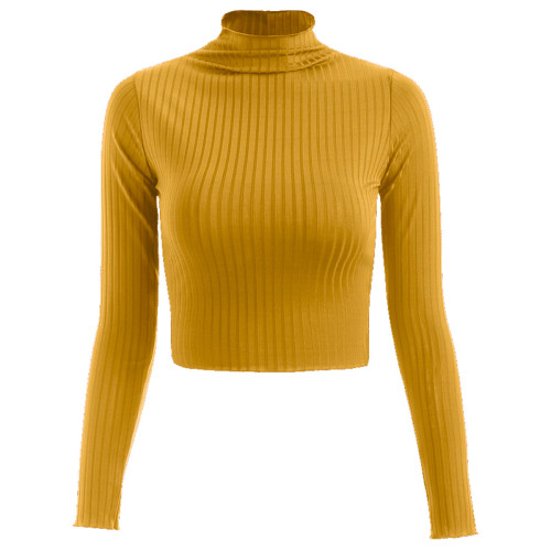 Mock Neck Ribbed Knit Crop Top