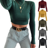 Mock Neck Ribbed Knit Crop Top