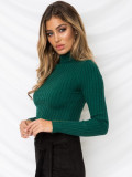 Mock Neck Ribbed Knit Crop Top