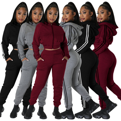 Thick Fleece Crop Hoodie 2 Piece Jogger Sweatsuit