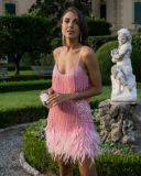 Sequin Feather Tassel Sexy Party Dress