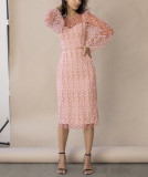 Elegant Casual Mesh Long Sleeve Midi Dress