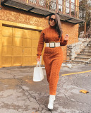 Turtleneck Knitting Sweater Long Dress