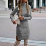 Plus Size Turtleneck Pullover Knit Dress