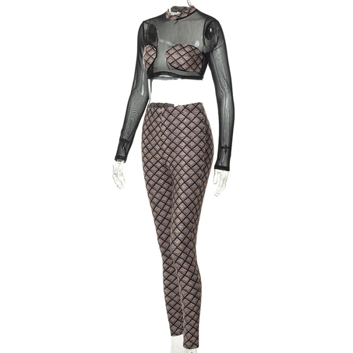Women Casualmesh Print Long Sleeve Crop Top and Pant Two Piece