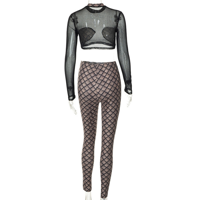 Women Casualmesh Print Long Sleeve Crop Top and Pant Two Piece