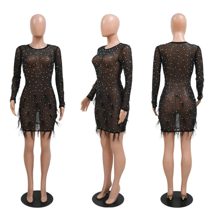 Women Fashion Round Neck Long Sleeve See-Through Beaded Feather Bodycon Party Dress