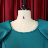 Lady Cold Shoulder OL Bodycon Dress