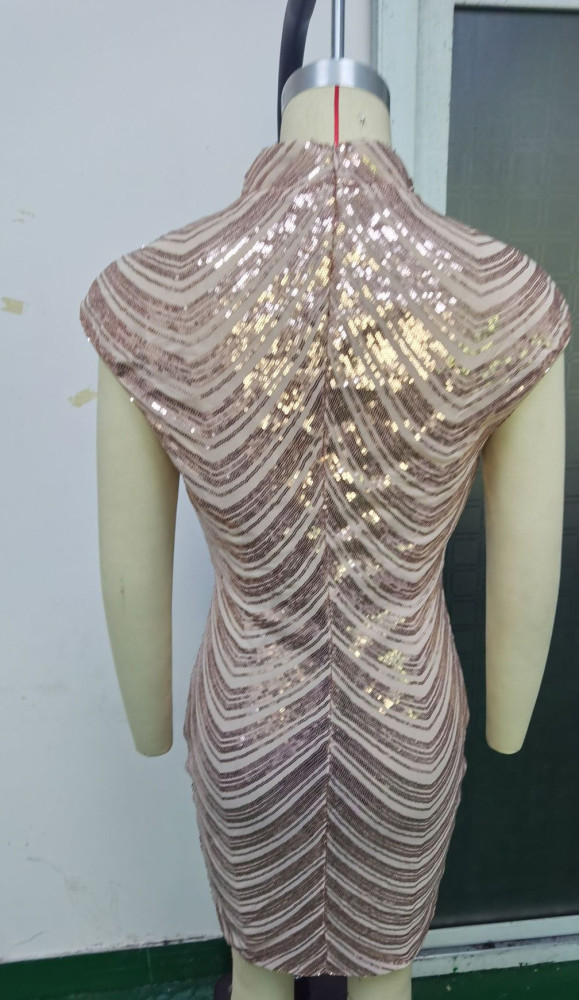 Short Sleeve Sequin Bodycon Dress