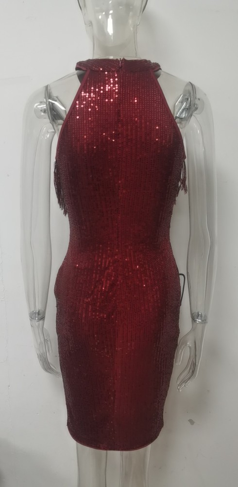 Sleeveless Tassel Sequin Sexy Bodycon Dress