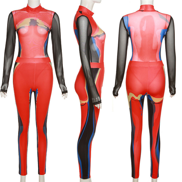 Pattern Print Mesh Bodysuit And Leggings Set