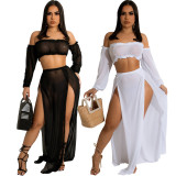 Mesh Sexy Crop Top Slit Skirt Set