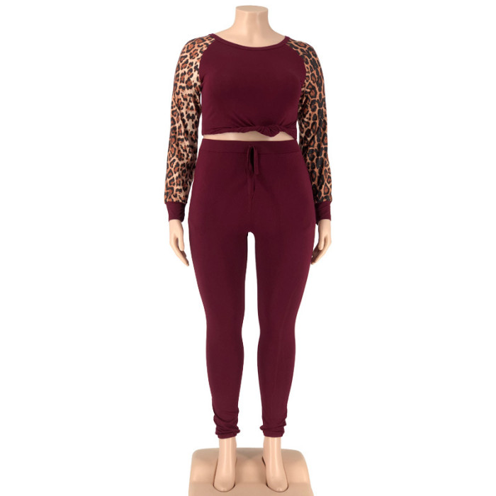 Leopard Sleeve 2 Piece Women Outfit