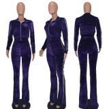 Solid Silver Velvet Casual Wide Leg Pants Two Piece Suit