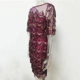 Sexy Open Back See Through Fringed Sequin Dress
