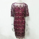 Sexy Open Back See Through Fringed Sequin Dress