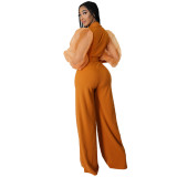 Mesh Sleeve Casual Elegant Flare Jumpsuit