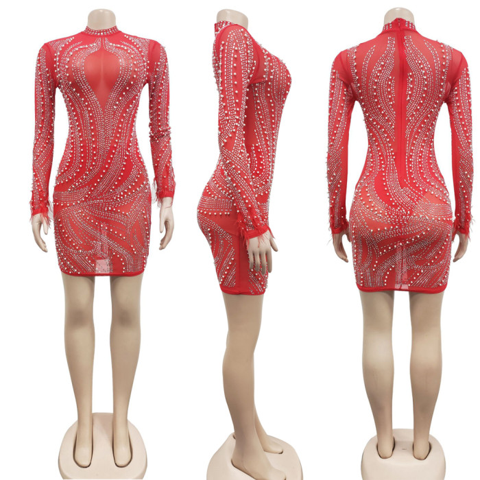 Mesh Perspective Beaded Long Sleeved Feather Dress