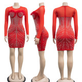 Mesh Feather Luxury Rhinestone Dress