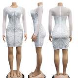 Mesh Feather Luxury Rhinestone Dress