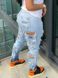Destroy Ripped Flare Jean Pant