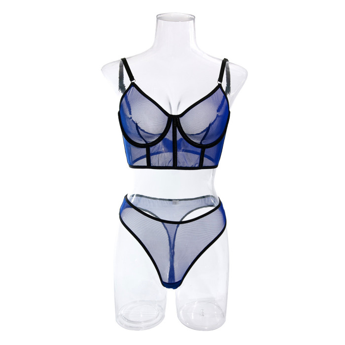 Sheer Mesh Bustier and Thong Lingerie Set