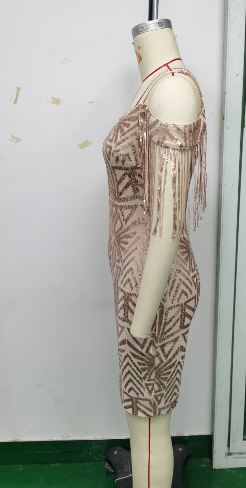 Fashionable Sexy Shoulder Fringe Trim Sequin Bodycon Dress