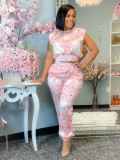 Short Sleeve Printed Crop Top And Pants 2 Piece Set Casual Summer Sets