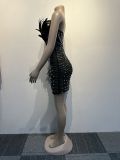 Sexy Feather Beaded Pearl Tight Fitting Bodycon Dress