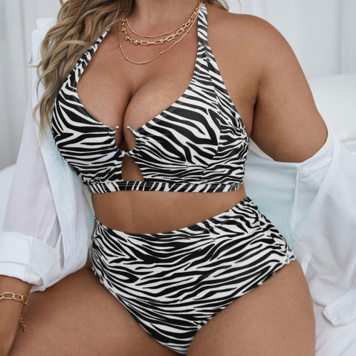 Plus Size Striped and Printed Separates High Waisted Triangle Bikini