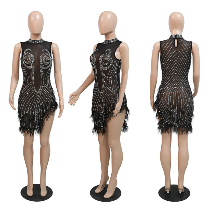 Sexy Mesh Dress with Rhinestones Beads and Feathers