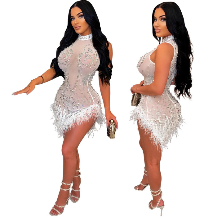 Sexy Mesh Dress with Rhinestones Beads and Feathers
