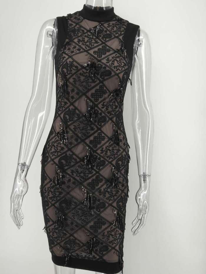 Embroidered Fringe and Sequin Sleeveless High Neck Back Zipper Dress