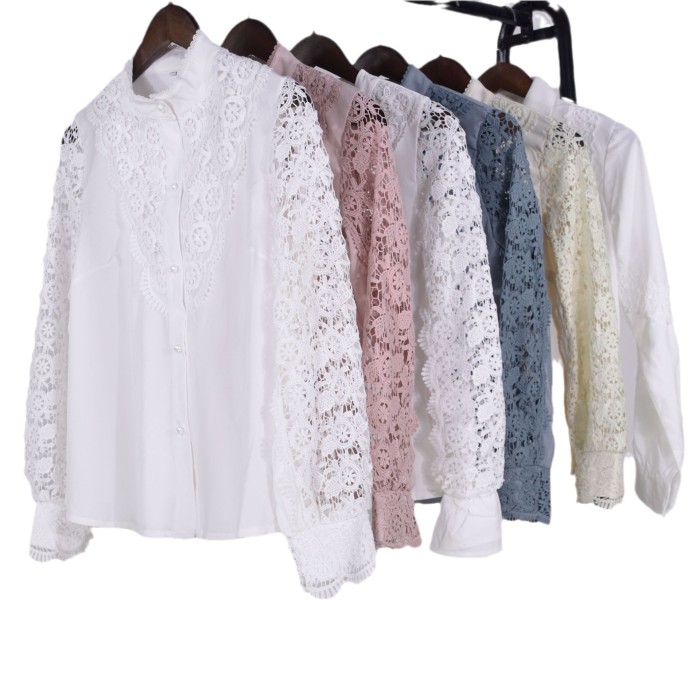 Lace Floral Long Sleeve Hollow Out Blouse
