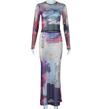 Floral Print Sheer Mesh Round Neckline and Bodycon Mini Skirt Two-Piece Set