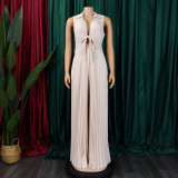 Loose-Fitting V-Neck Wide-Leg and Pleated Jumpsuit