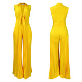 Loose-Fitting V-Neck Wide-Leg and Pleated Jumpsuit