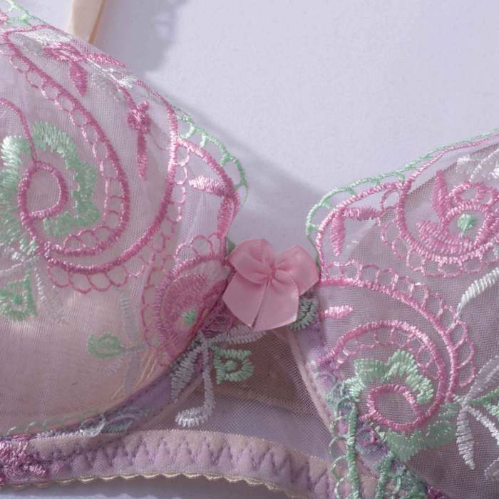 Embroidery Mesh Fabric Lingerie Set