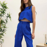 Sleek & Stylish Monochrome Sleeveless Top and Long Pants Set