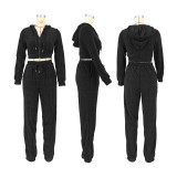 Jacquard Hooded Long Casual Sports Suit with Zipper