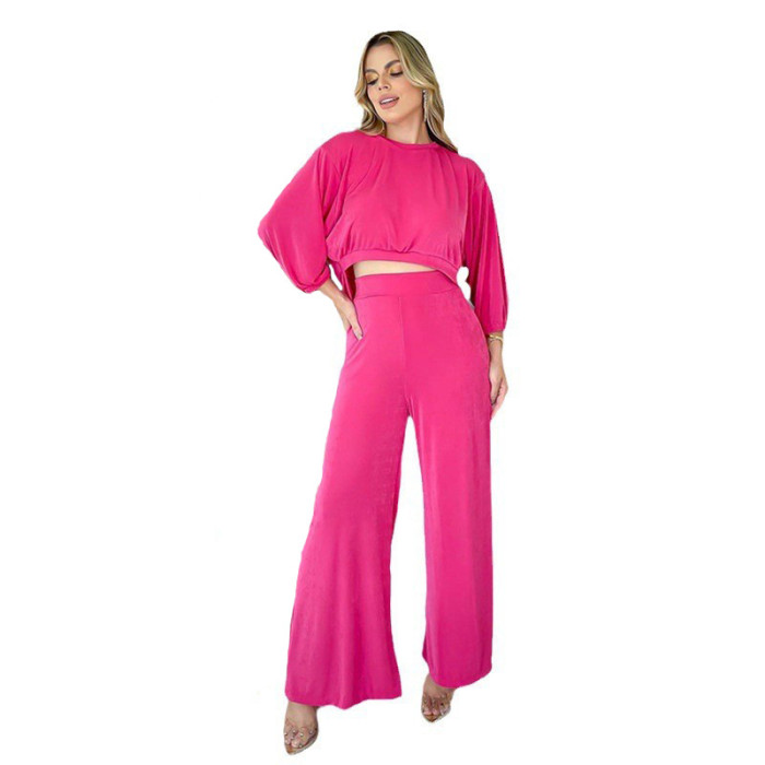 Relaxed Fit Round Neck Long Sleeve T-Shirt and Wide Leg Pants Casual Set