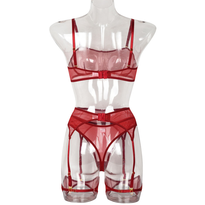 Sexy Sheer Mesh Lingerie Set with Leg Harness by ihoov