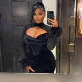 Plush Mesh Nightclub Style Hollow Out Bodycon Maxi Dress